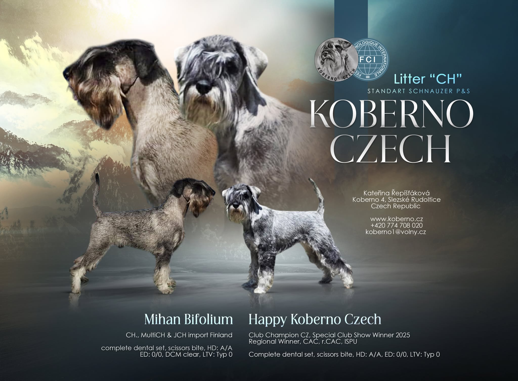 622499390 762640410212927 8991773515680625856 n